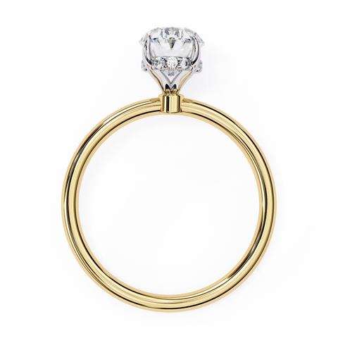 The Elowen Oval Cut Ring