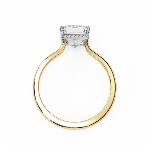 The Ethereal Prism Princess Cut Ring
